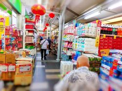Hong Kah Ville (D22), Shop House #582650101